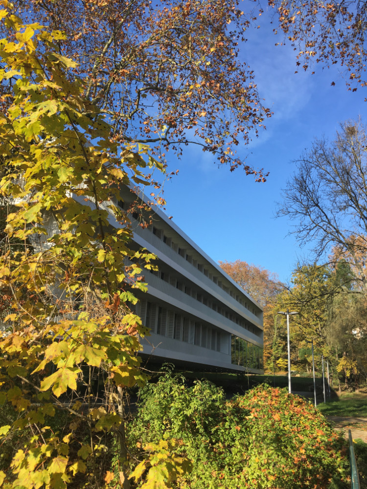 L'Institut de Mathématiques d'Orsay, vu en automne